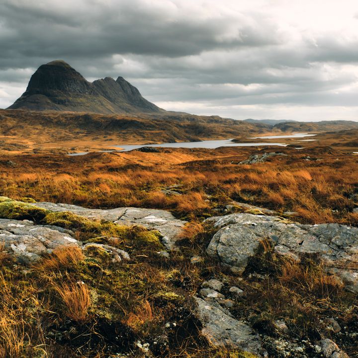 Scotch Whisky Regions Explained: What the Label Tells You and What It Doesn't
