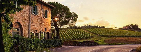 The Best Italian Wines to Buy in Australia Right Now - Liquor Wine Cave