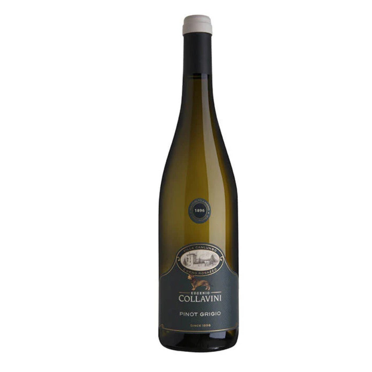 Collavini Pinot Grigio Canlungo 2022 - Wine Italy White - Liquor Wine Cave